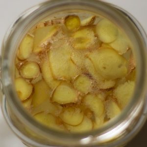 ginger-bug-receta